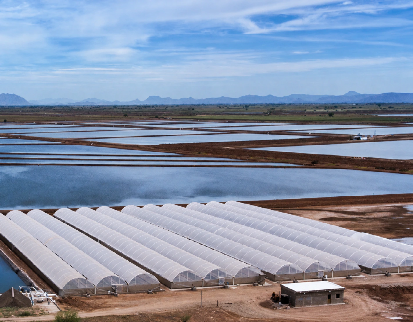 Kino aquaculture ponds