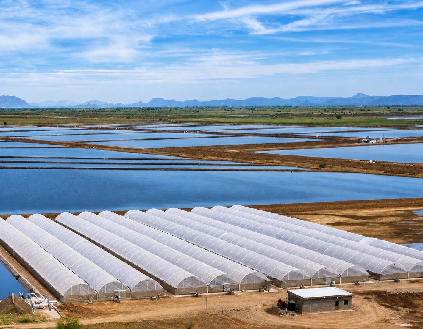 Kino aquaculture ponds